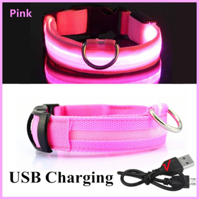 LED Dog Collar