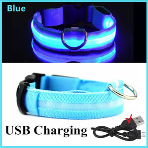 LED Dog Collar