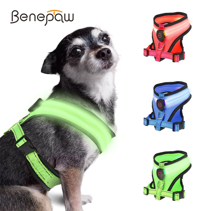 Lighted dog vest best sale