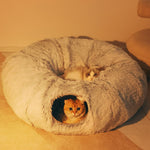 3 in 1 Cat Bed House