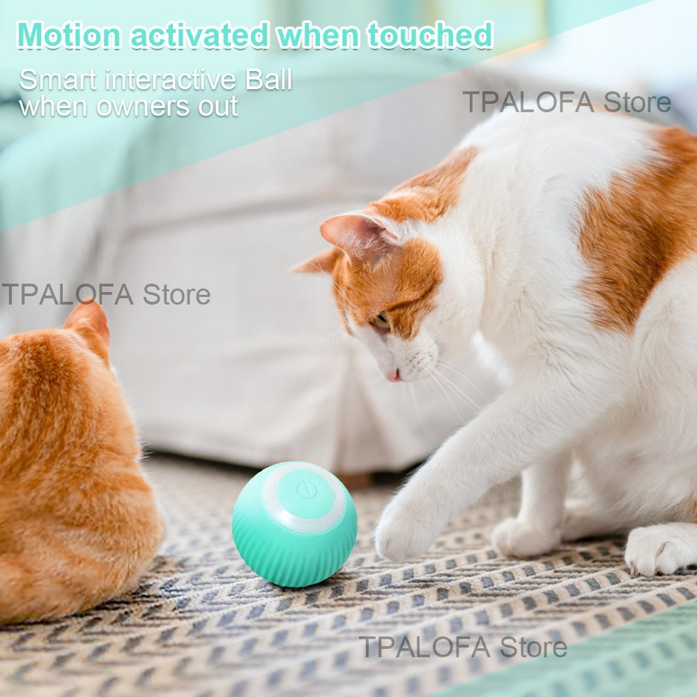 Self-moving Toy