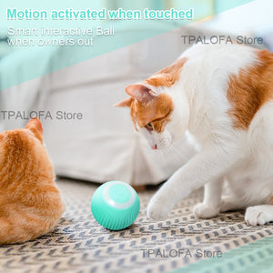 Self-moving Toy