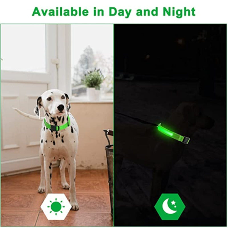 LED Dog Collar