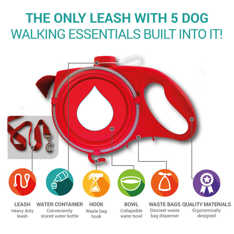 Multifunctional Dog Leash